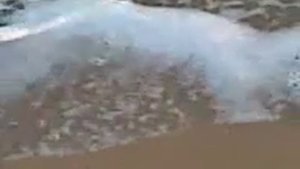 море, Евпатория в марте