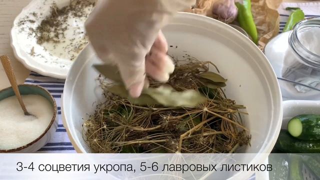 Малосольные огурцы Хрум Очень простой и быстрый рецепт