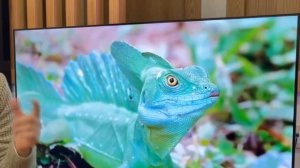 Телевизор Hyundai 32 H-LED32BS5003