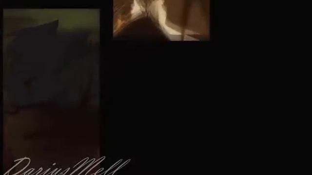 Коты воители клип востань смотреть онлайн