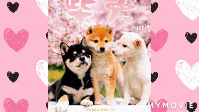 3 октября 2020 г. смотреть онлайн