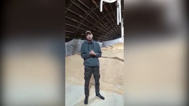 Озонирование зерна\Озонирование в сельском Хозяйстве (Озонация)