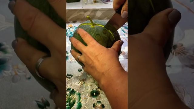 Арбуз Сахарный малыш. Агрофирма Аэлита. смотреть онлайн