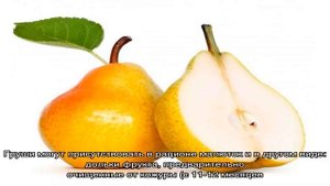 С какого возраста можно давать грушу ребенку? Как сделать грушевое пюре?