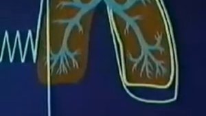 Работа легких