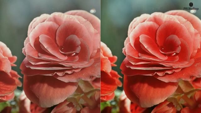 В чём отличия MINI от MICRO LED, а также от OLED и QLED смотреть онлайн