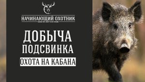 ВЗЯЛ ПОДСВИНКА! #ОХОТА НА КАБАНА С ВЫШКИ