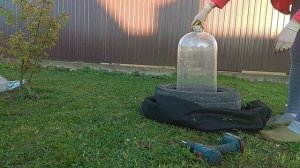 Как посадить арбуз