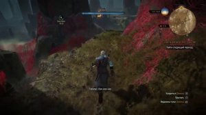 Ведьмак 3 Дикая Охота - Сквозь время и пространство. Мир садов