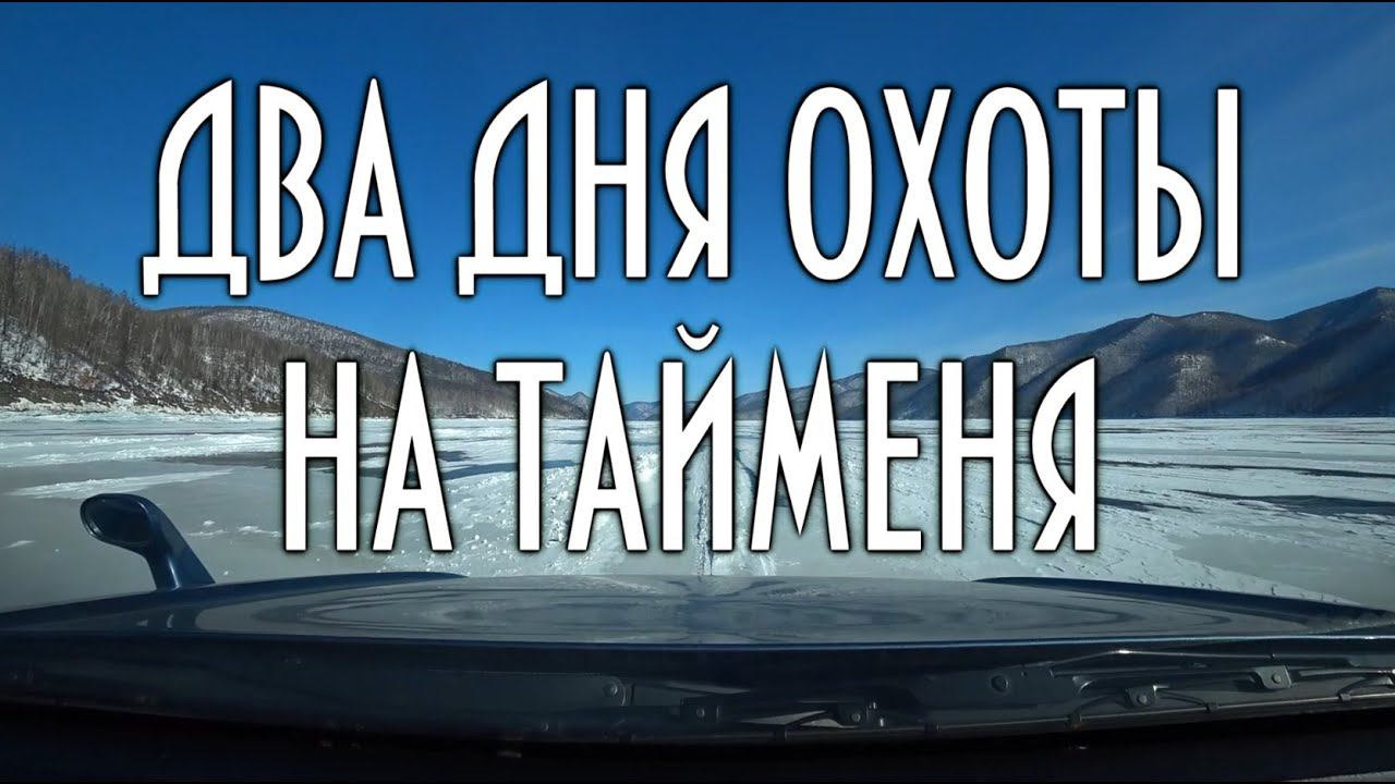 Два дня охоты на тайменя, сюжет с рыбалки, 2020 год. 16+ #домавместе