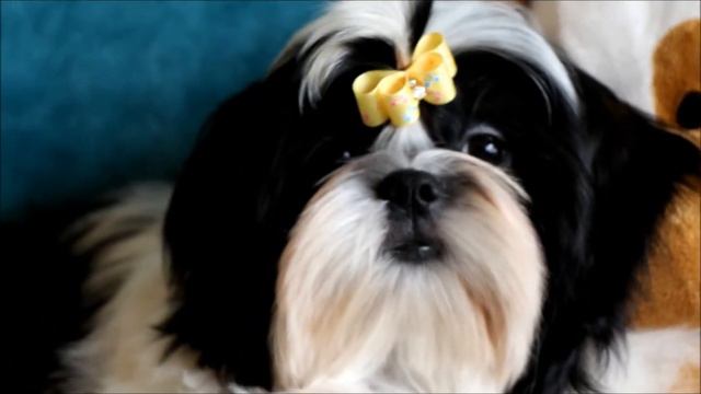 Nikita 4 month смотреть онлайн