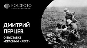 Дмитрий Перцев о выставке «Красный крест» || 2016