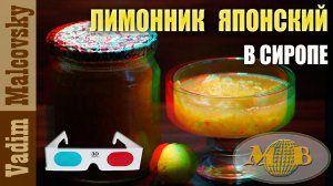 3D stereo red-cyan Консервация. Лимонник японский в сиропе. Мальковский Вадим