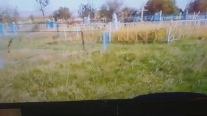 обращение к чеченам.русские кладбища в чечне