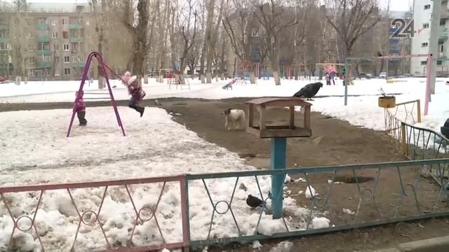 Бездомные собаки оккупировали детскую площадку на ул. Октябрьской в Казани смотреть онлайн