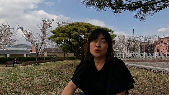 10 ПЛЮСОВ ЖИЗНЬ В ЮЖНОЙ КОРЕЕ/СТОИТ ЛИ СЮДА ПРИЕЗЖАТЬ смотреть онлайн