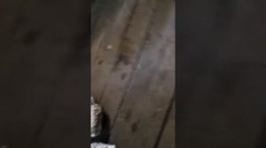 Установка фаркопа на Ниву Шевроле окончание