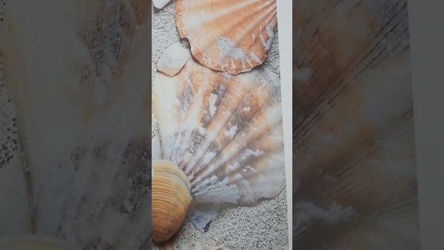 3д пол в процессе изготовления. Первый этап смотреть онлайн