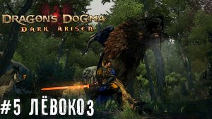 Лев и троль - Dragons Dogma Dark Arisen прохождение часть #5