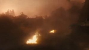 Горящий Годзилла сражается с Гидорой