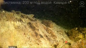 Байкал в режиме реального времени - подводная видеокамера
