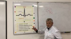 Регистрация и анализ ЭКГ , электрокардиограммы