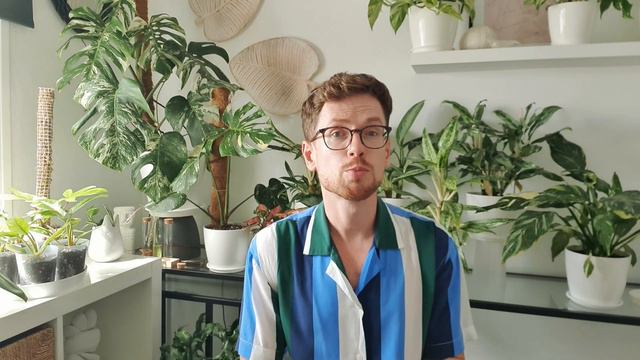 Земляные комарики Сциариды. Эффективные методы контроля вредителя. Мои проверенные способы. смотреть онлайн