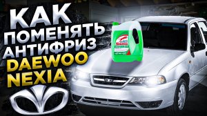 Как поменять антифриз Daewoo Nexia n150 16кл.