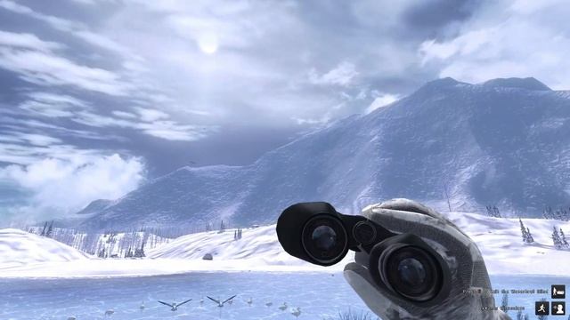 theHunter Classic - Snow Goose First Look ! смотреть онлайн