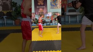 Тренировка на лапах????