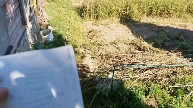 Да ну ЗАЧЕМ Оно мне НАДО Эта Сарпо мира, свёкла Жаба, перец Джимми, Сызранская помидора Лучшие сорт смотреть онлайн