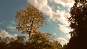 КРАСИВО ПРО ОСЕНЬ.