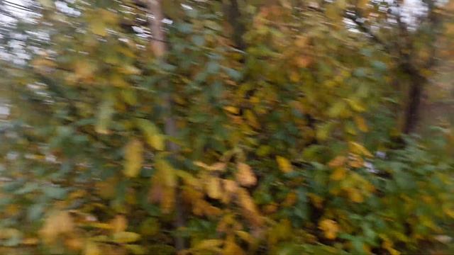 Славянск. 25 октября 2022г. Вечер. смотреть онлайн