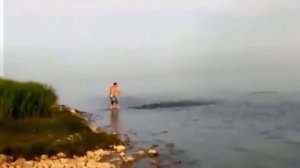 Рыбалка Кастинговой Сетью! Лучшие забросы! ВОТ ЭТО УЛОВ!