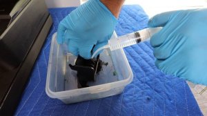 Hp  Photosmart 7510 Printhead Cleaning (2022)