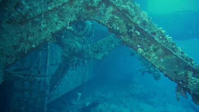 Дайвинг на красном море. Трагедия на красном море. Знаменитый паром 