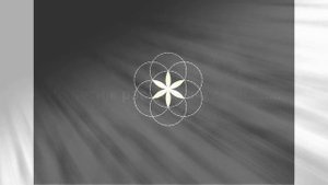 Сакральная геометрия от А до Я поэтапно шаг за шагом. Серия книг по саморазвитию: Цветок жизни