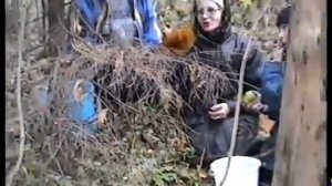 Рядовки. Гриб Матрёшка. Лес Козьи Горы. Гнездово. Смоленск.