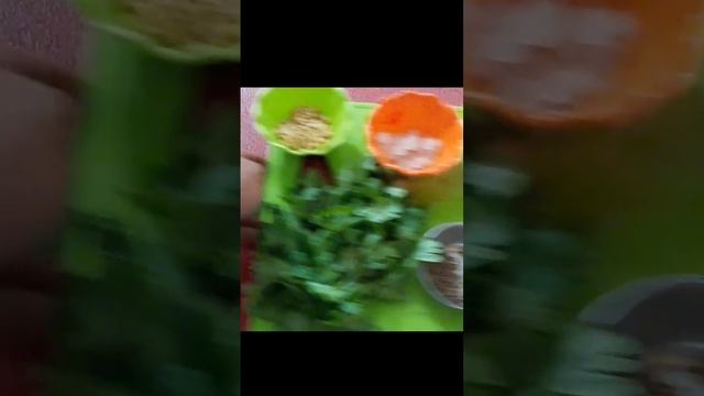 green chutney Recipe| easy mint coriander chutney at home|step with me