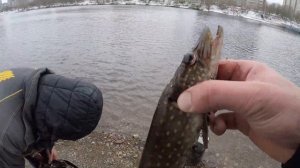 Не обычный улов на Абаканской протоке!!!!