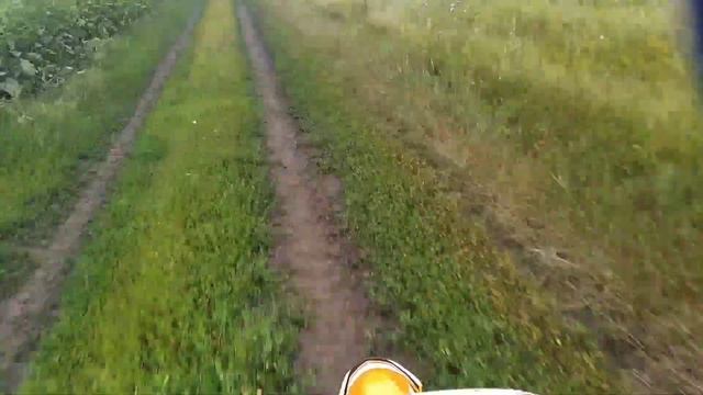 Еду в заповедник на питбайке Progasi smart 150