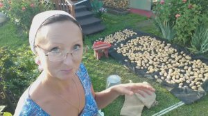 Видео привет с 6 соток 7 августа 2024 года.