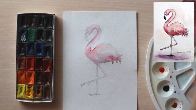 Как нарисовать фламинго. Урок рисования. Скетчинг.
