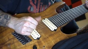 GUITAR SOUND DJENT VERSION RONALD JENKEES