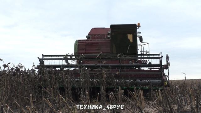 Дон-1500 на уборке подсолнухов Первый год подсолнечника в хозяйстве И первый полноценный опыт смотреть онлайн