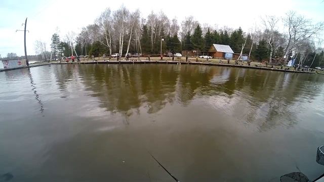 Ловля форели в КРХ Никитское или кубок River Old 22.04.2017 смотреть онлайн