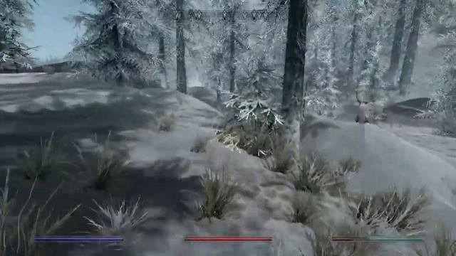 The Elder Scrolls V: Skyrim - Боть!...   [PS4] Pirojocheck
