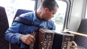Пассажир в автобусе попробовал гармонь бр.Потехиных.