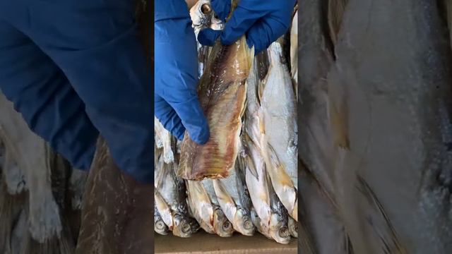 Чехонь смотреть онлайн