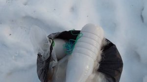 Как помочь птицам в сильный мороз? Зачем синицы клюют монтажную пену и москитные сетки на окнах?